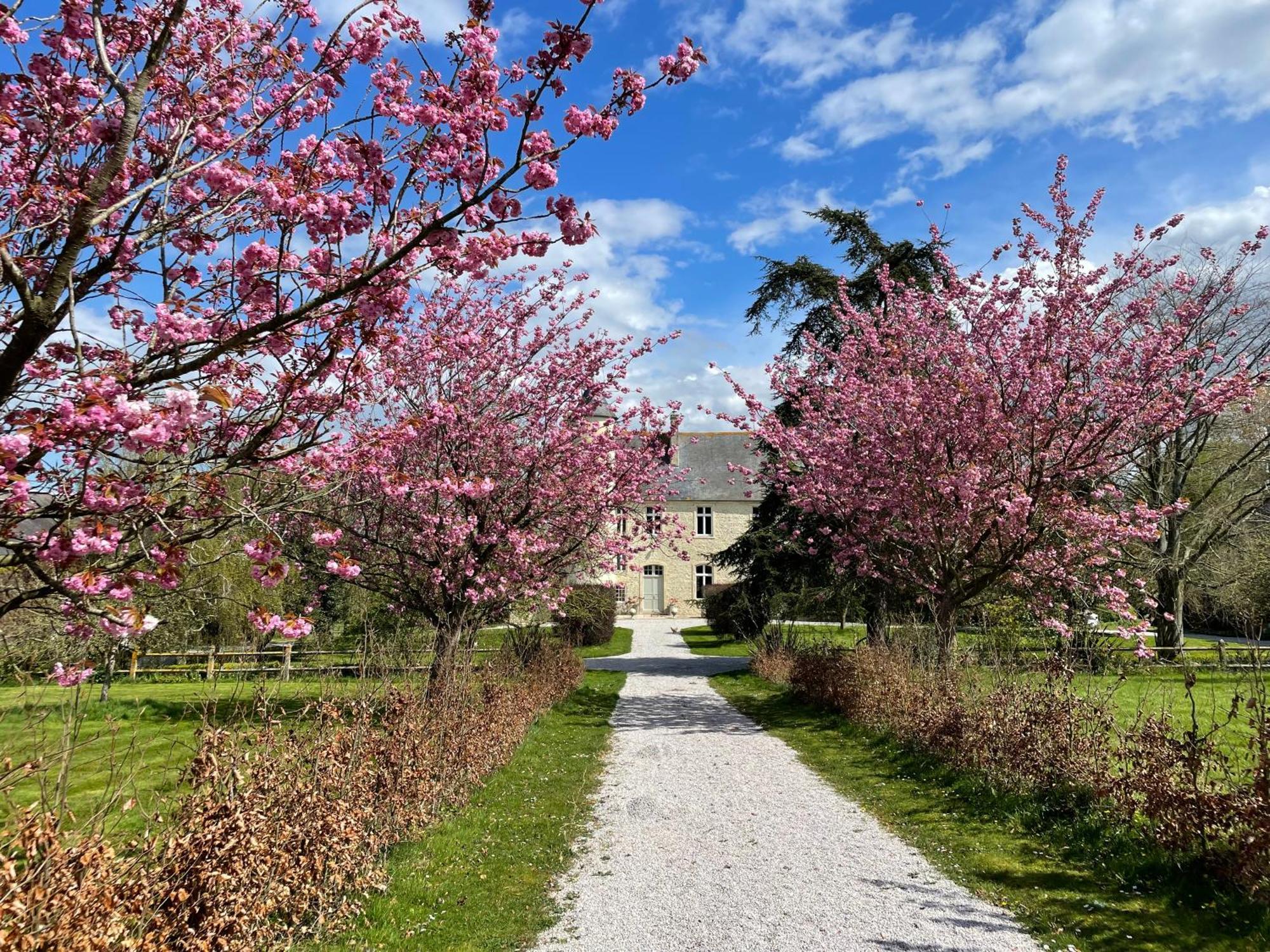 Chateau De Monfréville 외부 사진