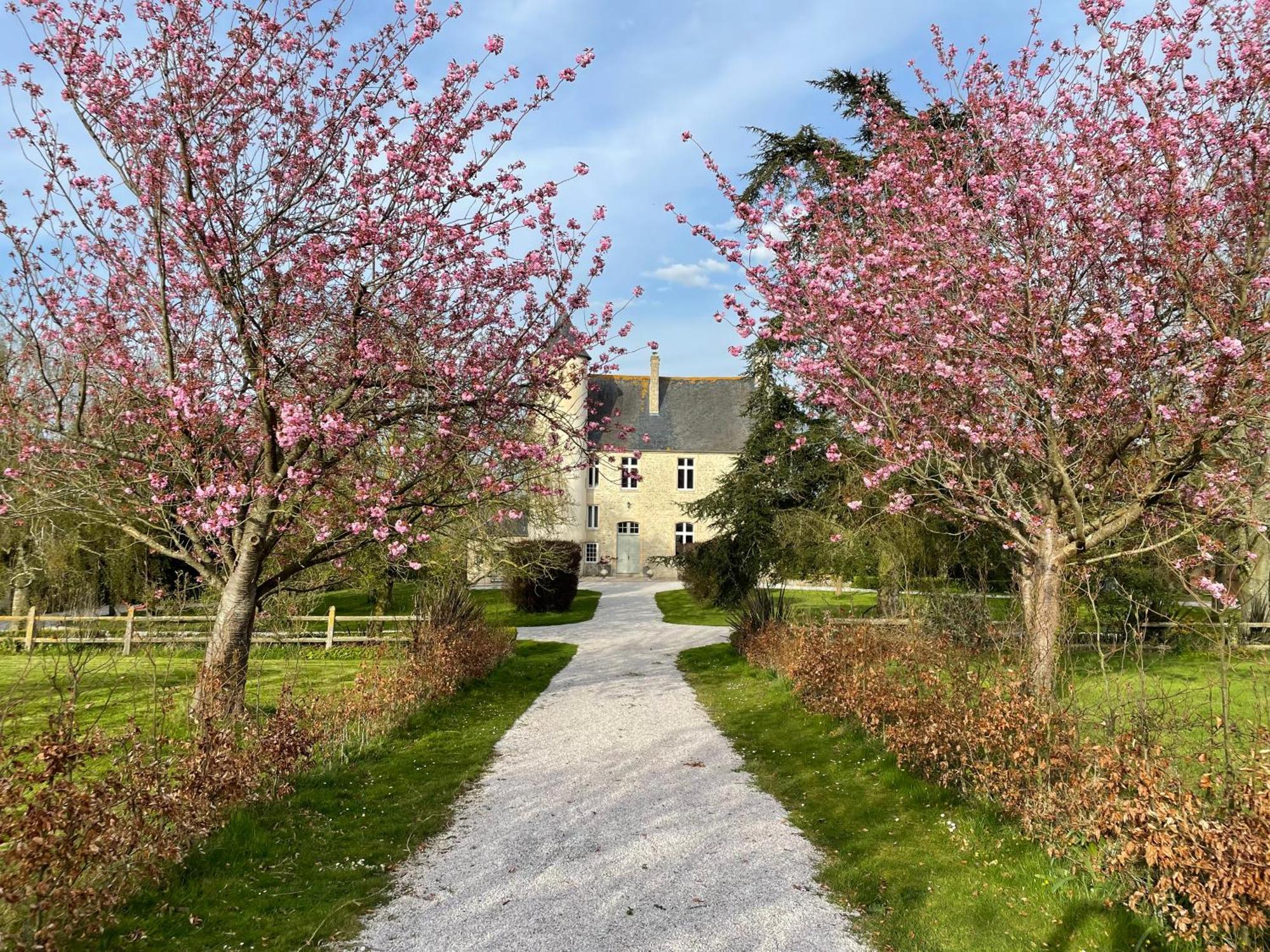 Chateau De Monfréville 외부 사진